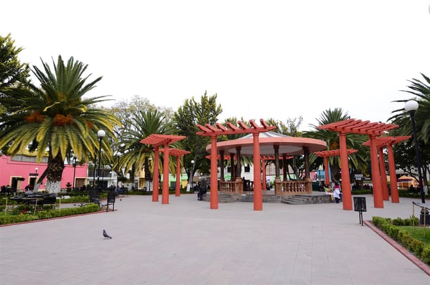 Local Attraction