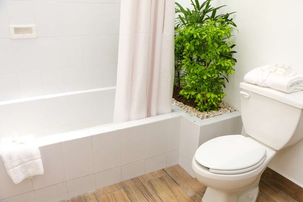 Bathroom in the room