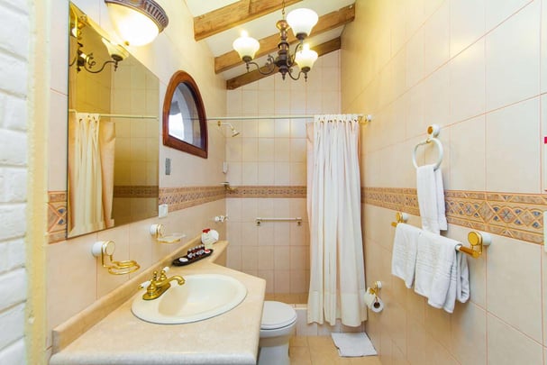Family Townhouse Bathroom