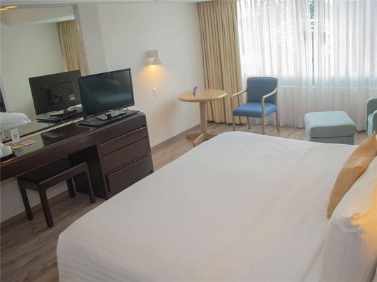 One King Bed Standard