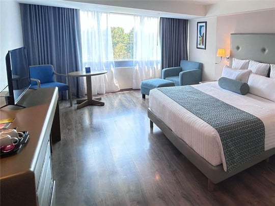 One King Bed Upper Level