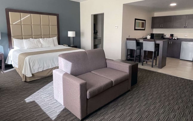 Suite, 1 King bed, non smoking, jr. suite