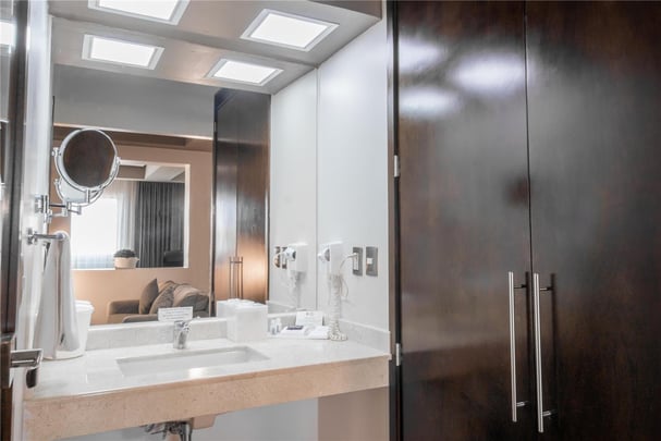 Junior Suite One King Bed Bathroom