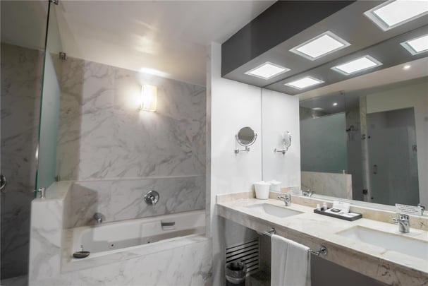 Master Suite One King Bed Bathroom