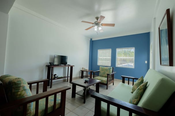 Standard room living room