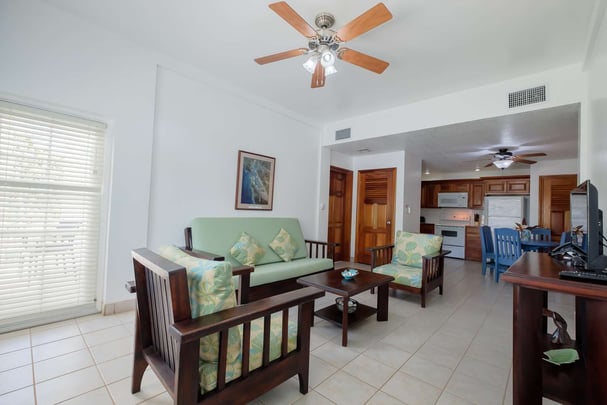 Standard room living room