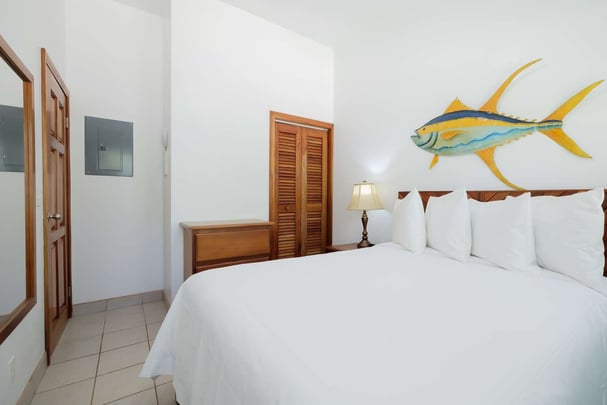 One Queen Standard Room