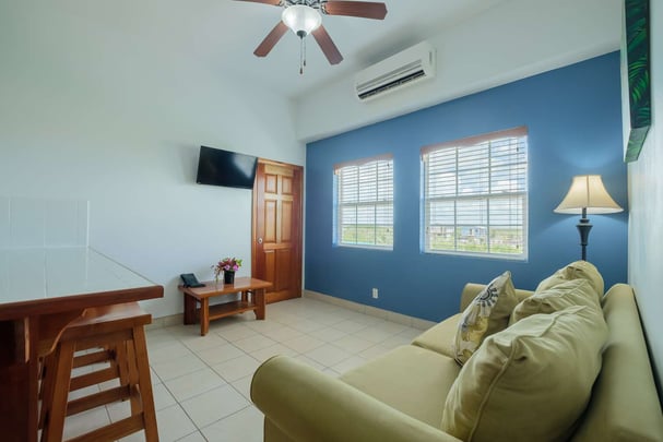 Living room standard room