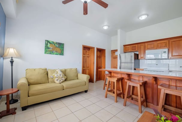 Living room and Kitchenette standard room