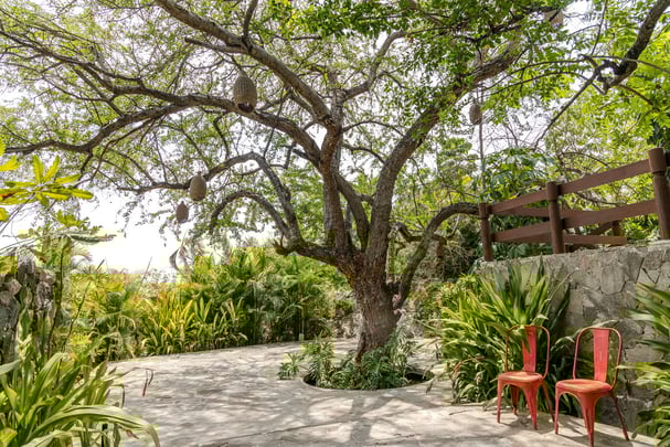 Soul Spring Sanctuary Garden