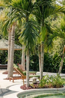 Soul Spring Sanctuary Pool