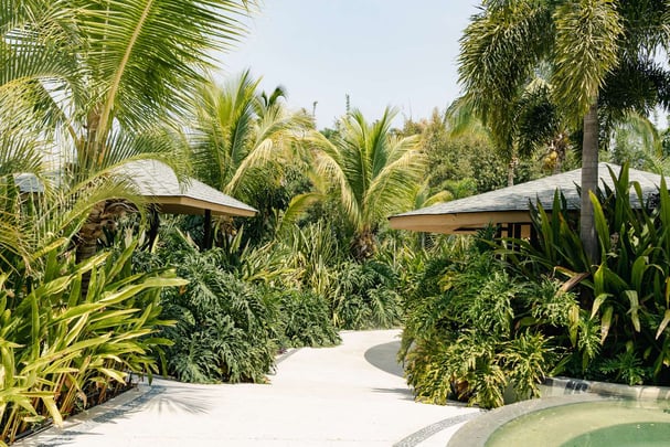 Soul Spring Sanctuary Pool Bar