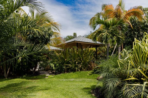Soul Spring Sanctuary Pool Garden