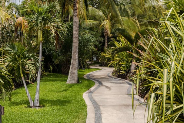 Soul Spring Sanctuary Garten