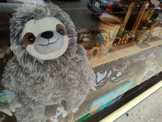 Jaguar Souvenir Shop