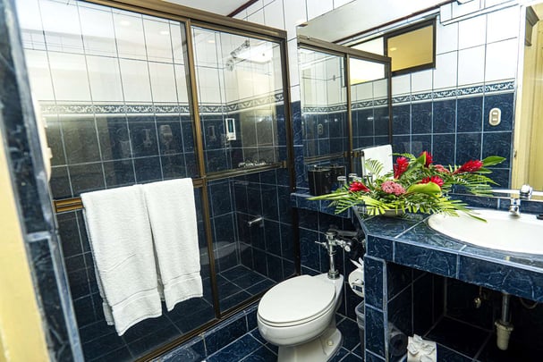 Standard One Double Bed