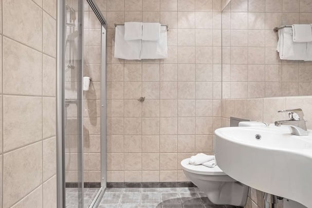 Best Western Leto Arena details standard bathroom