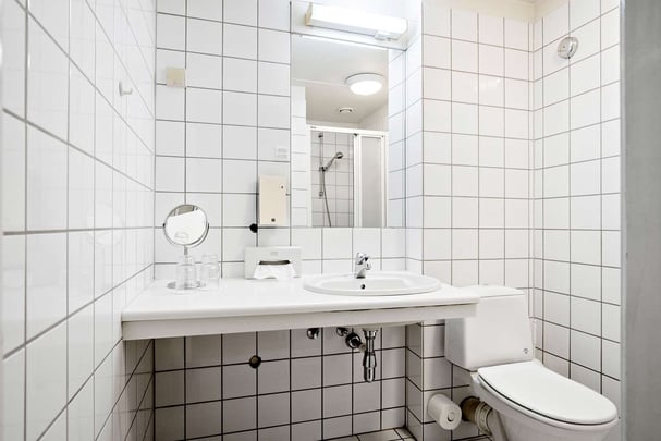 Bakeriet family room bath