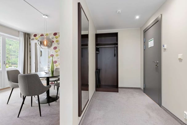 Junior Suite Entryway