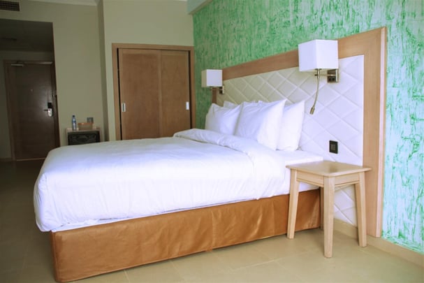 Queen Bed Guest Room