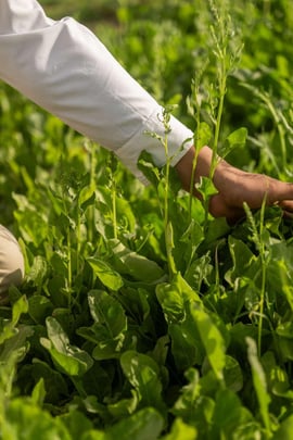 Recreation amp Fitness