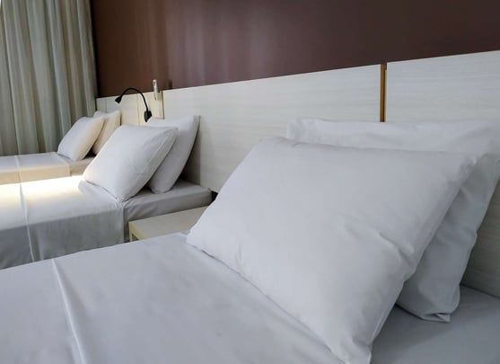 Deluxe Room - 3 Single Beds