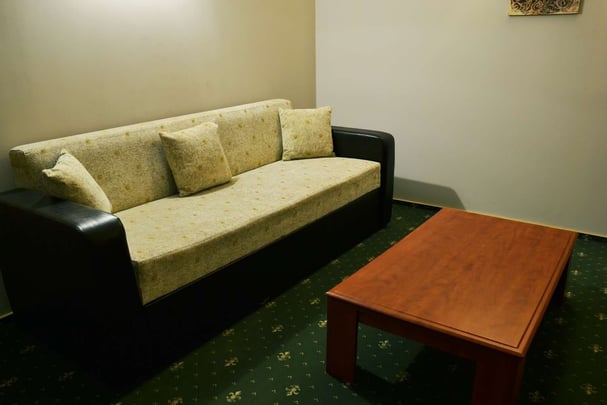 Sofabed in the Apartment