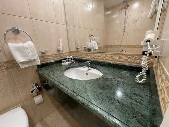 Standard Room Bathroom