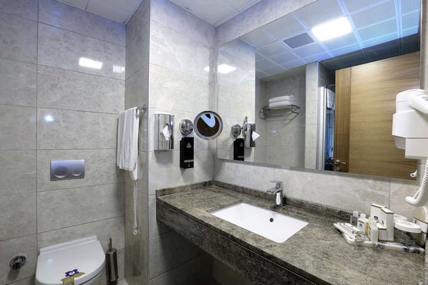 Standard Room Bathroom