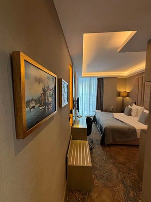 Family Room 1 King bed 1 single bed