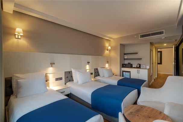 Standard triple room