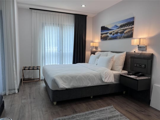 Accessible Suite 1 King Bed bed and window view