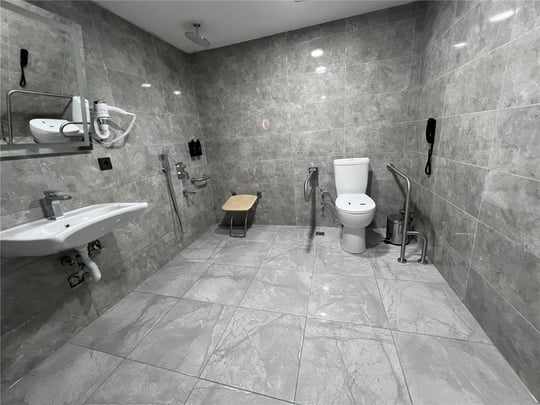 Bathroom Accessible King Suite