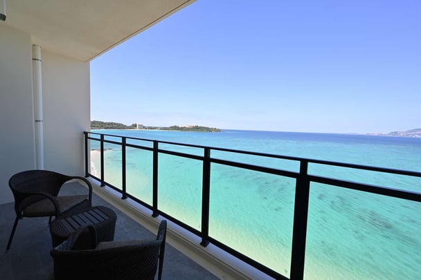 View from guest room(Premier)