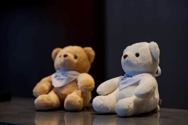 Teddy Bears at recaption
