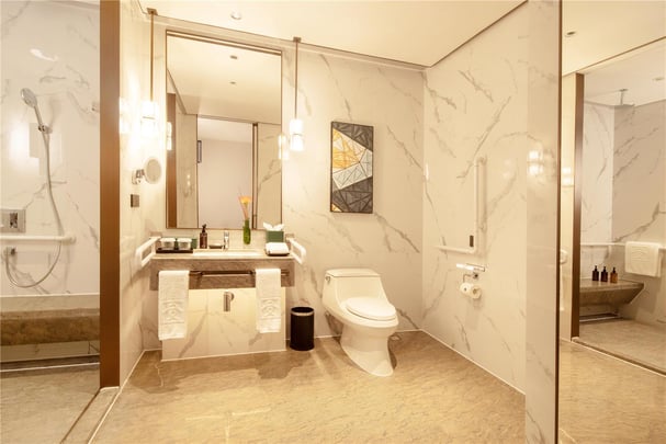 Accessible Room Bathroom