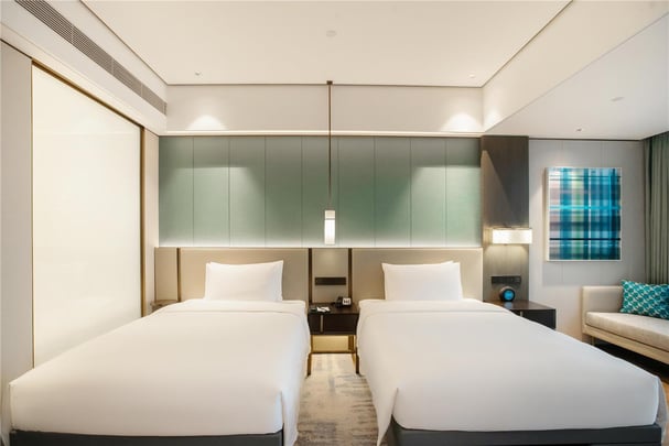 Deluxe Twin/Double-Double Room