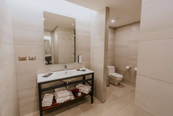 Superior Room with One Bed Bath