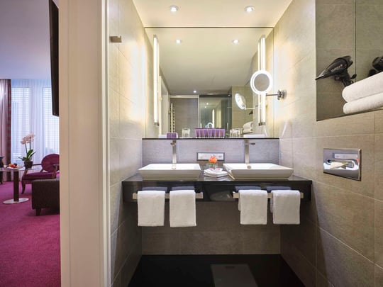 The Dufour Deluxe Double Room - bath