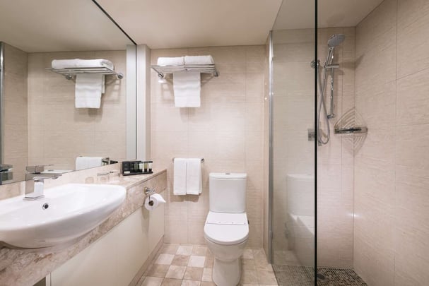 Deluxe Park View Room Bathroom