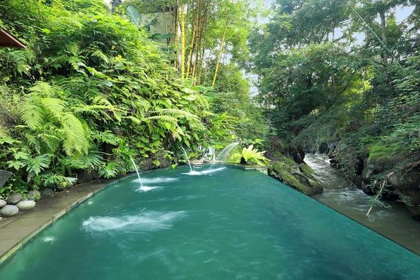 Sacred Natural Springs Water Pool