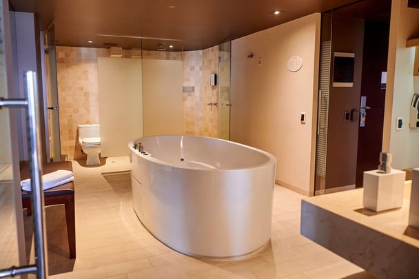 Suite Deluxe Matrimonial - Bath and Shower
