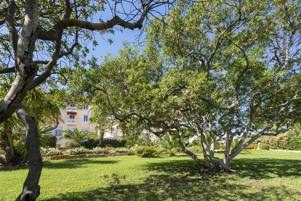 Grand H tel Des Lecques C cile Langlois BD