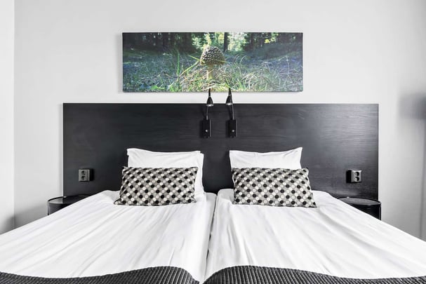 Twin superior BW Plus Grand Hotell Elektra