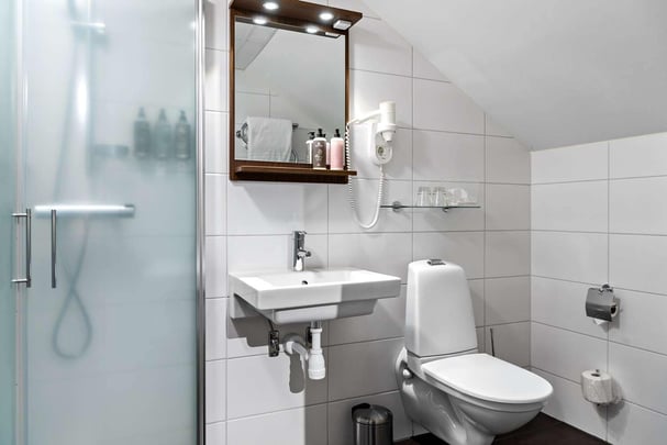 BW Plus Edward Hotel bath room standard double