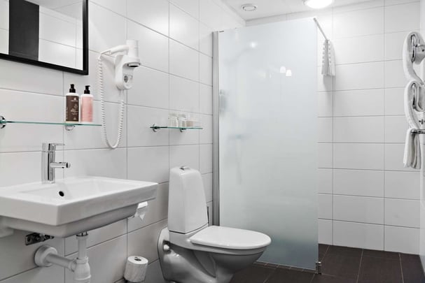 BW Plus Edward Hotel bath room superior