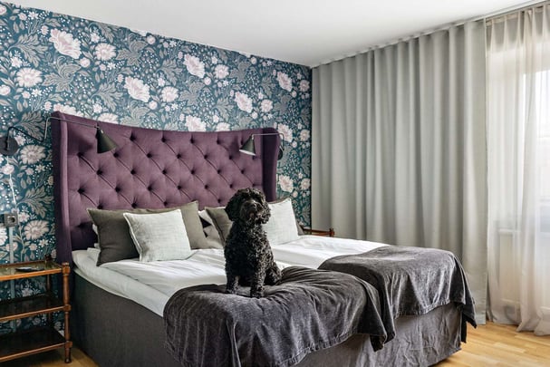 Pet room BW Princess Hotel