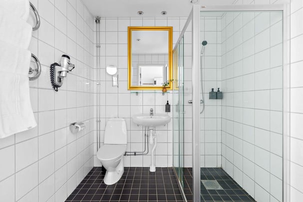 Bathroom BW Karlaplan