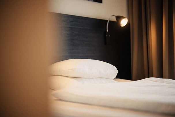 Single Economy Malmo Arena