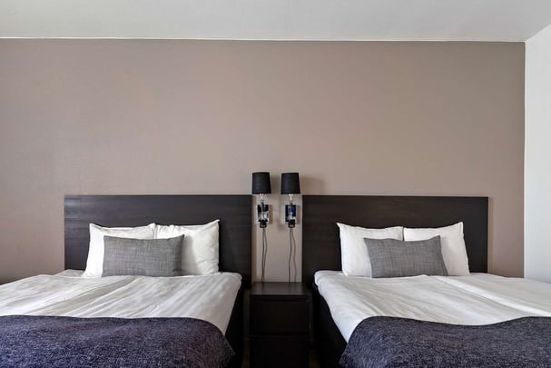 Queen standard Economy BW Royal Star